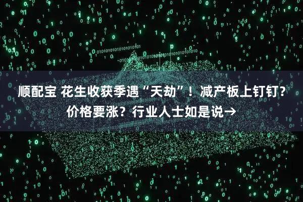 顺配宝 花生收获季遇“天劫”！减产板上钉钉？价格要涨？行业人士如是说→