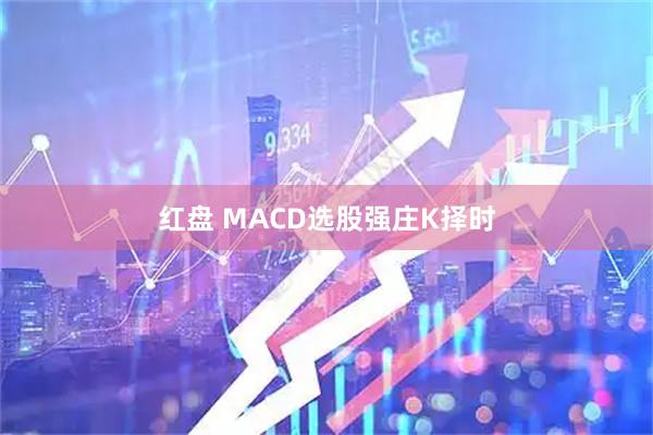 红盘 MACD选股强庄K择时