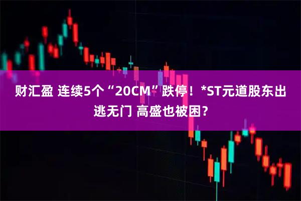 财汇盈 连续5个“20CM”跌停！*ST元道股东出逃无门 高盛也被困？